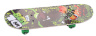Skateboard 60cm