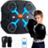 Panou Interactiv de Box cu Lumină și Muzică 