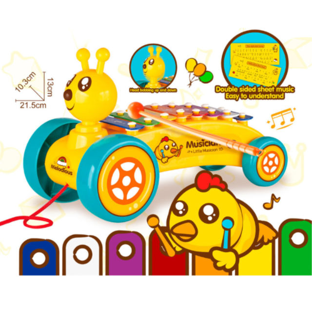 Omiduță Muzicală cu Metallofon și Note Colorate