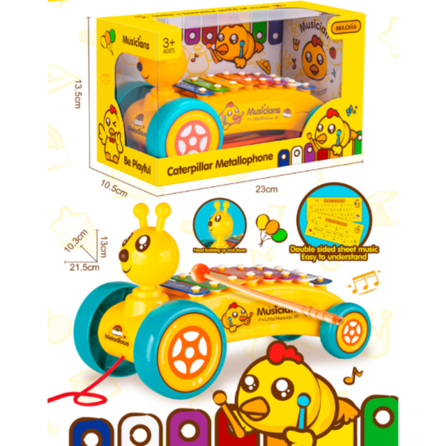 Omiduță Muzicală cu Metallofon și Note Colorate