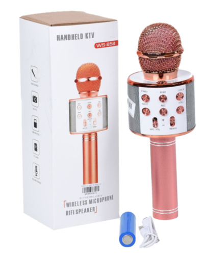 Microfon Karaoke Wireless USB cu Bluetooth și Boxă inclusă  | image