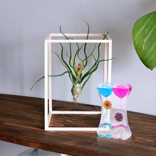 Clepsidră cu Ulei și Nisip Lichid Colorat (culoare aleatorie)