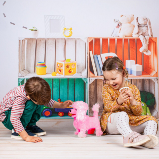 Jucărie Interactivă Pudel de Pluș cu Telecomandă (culoare aleatorie) 