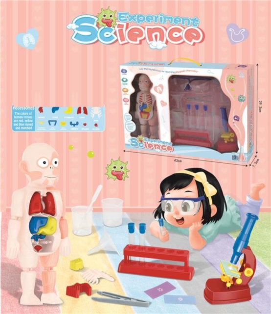 Set Doctor Anatomic "Corpul Uman"