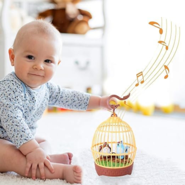 Colivie Interactivă cu Păsărele și Control Vocal