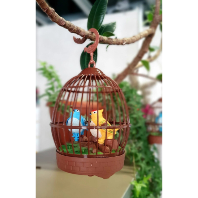 Colivie Interactivă cu Păsărele și Control Vocal