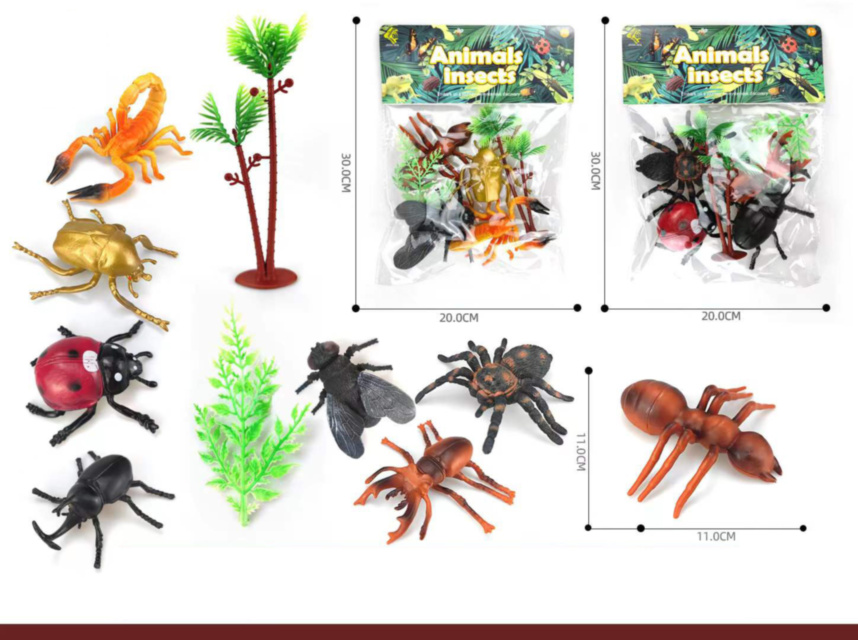 Set 4 Insecte