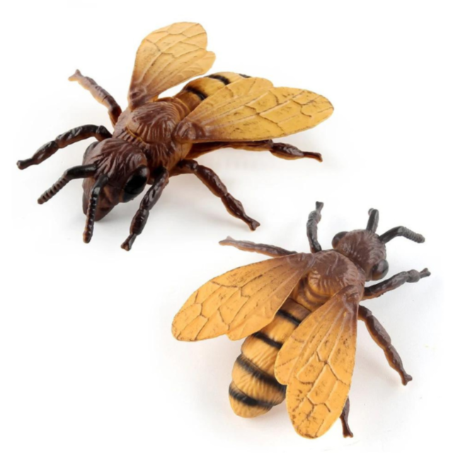 Set 6 insecte realiste din plastic – Modele aleatorii