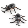 Set 6 insecte realiste din plastic – Modele aleatorii