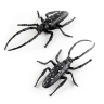 Set 6 insecte realiste din plastic – Modele aleatorii