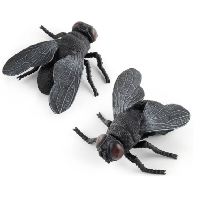 Set 6 insecte realiste din plastic – Modele aleatorii