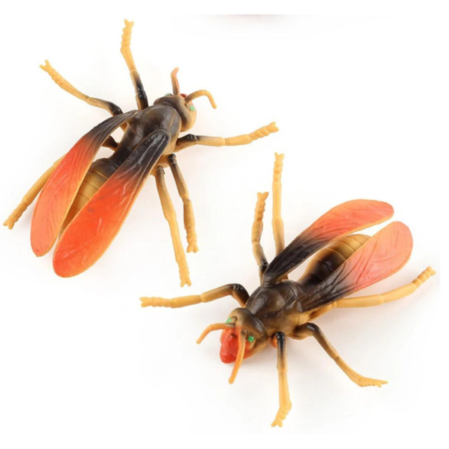 Set 6 insecte realiste din plastic – Modele aleatorii