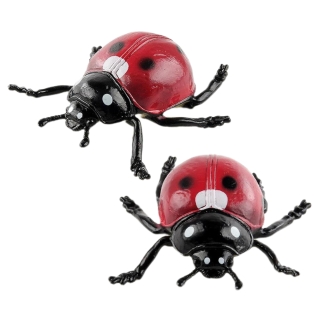 Set 6 insecte realiste din plastic – Modele aleatorii