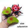 Set 6 insecte realiste din plastic – Modele aleatorii