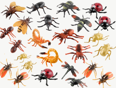 Set 6 insecte realiste din plastic – Modele aleatorii | image