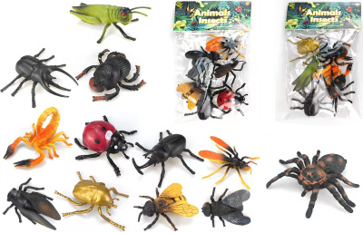 Set 6 Insecte | image