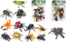 Set 6 Insecte