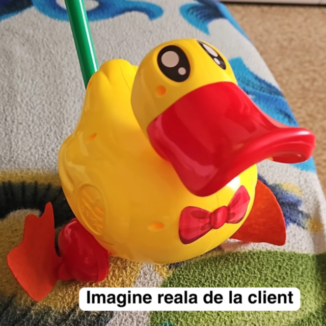 Rățoi de plimbat cu sunete