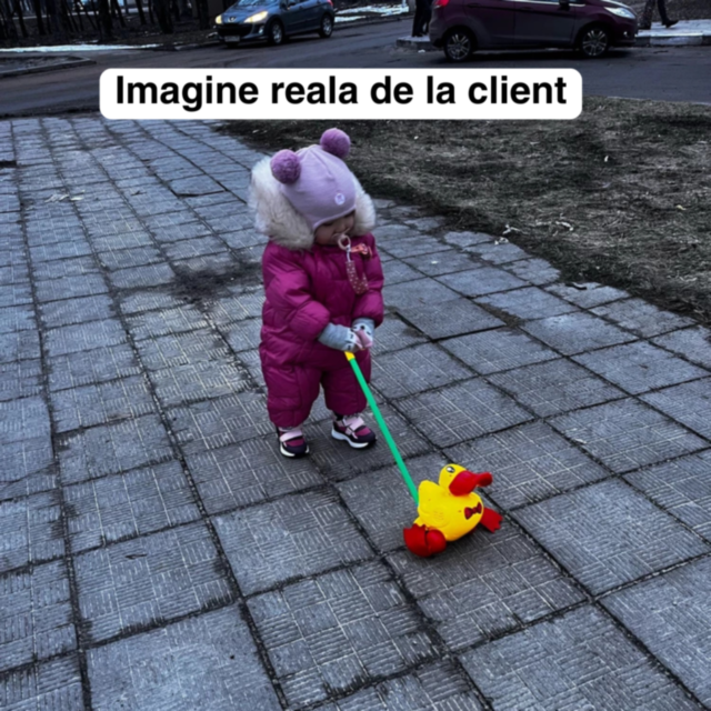 Rățoi de plimbat cu sunete