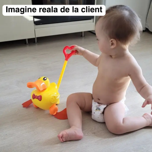 Rățoi de plimbat cu sunete