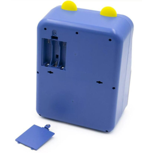 Pușculiță Interactivă ATM cu Recunoaștere Facială Simulată