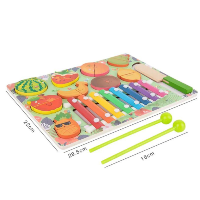 Set Educațional 2 în 1 Fructe Magnetice și Xilofon Colorat