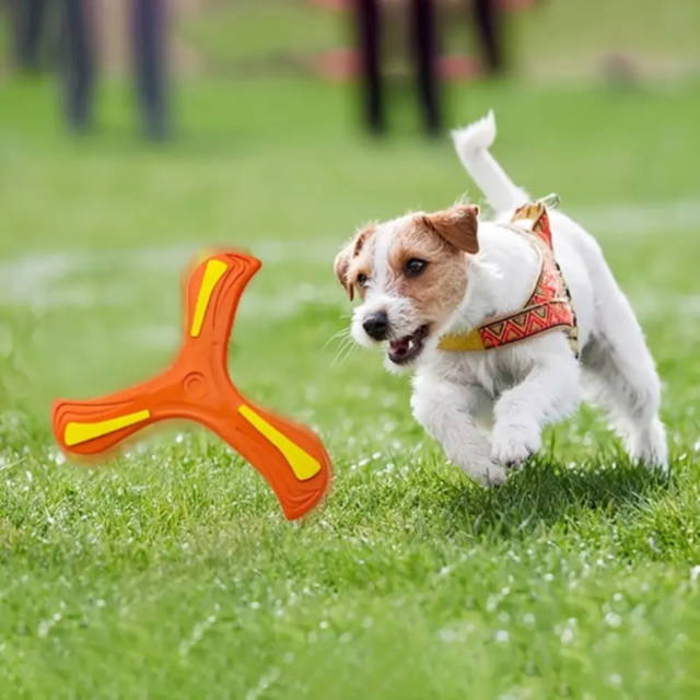 Bumerang din Spumă EVA pentru Copii (culoare aleatorie)