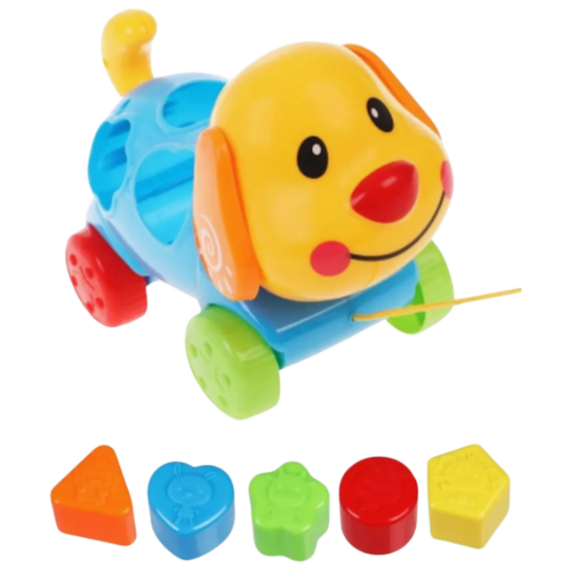 Cățeluș cu forme geometrice și sfoară de tras