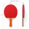 Set tenis de masă: două palete și trei mingi