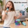 Set karaoke pentru copii cu boxă și două microfoane