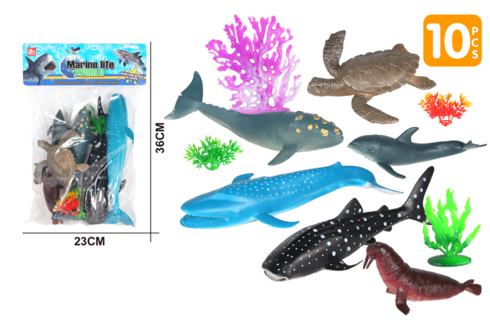 Set 6 Animale Marine