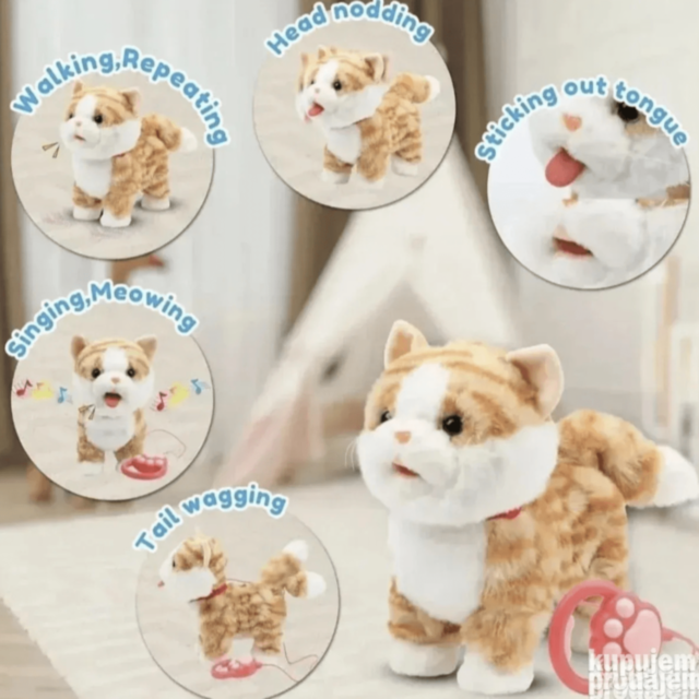 Pisicuță Interactivă cu Telecomandă și Sunete (culoare aleatorie)