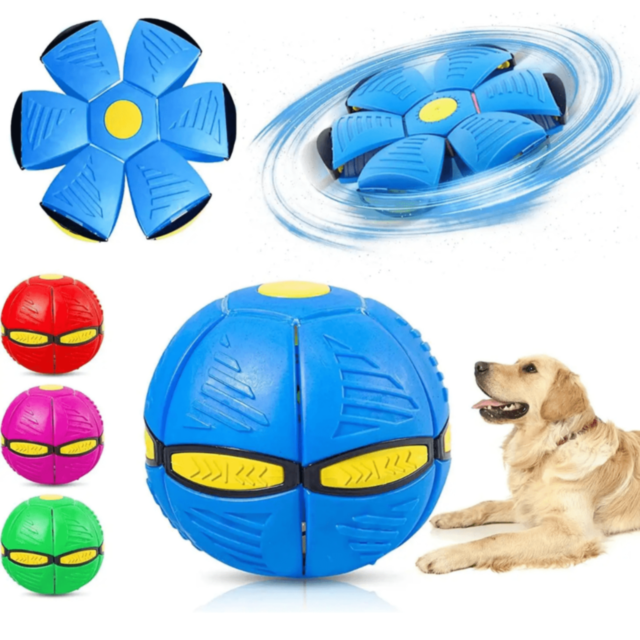 Aruncă și Prinde! Mingea Care Se Transformă În Frisbee (culoare aleatorie)  