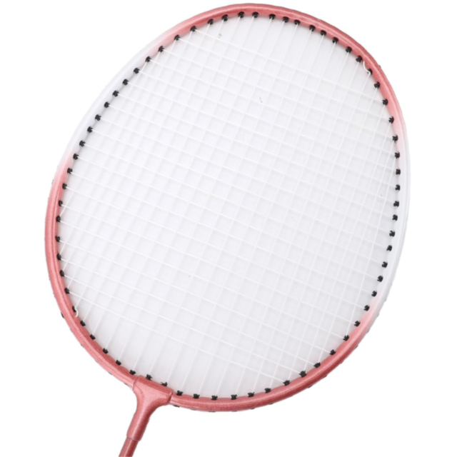 Set 2 Rachete Badminton Roz cu Geantă 