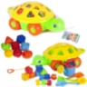 Țestoasa cu Figuri Geometrice și Sfoară de Tras 
